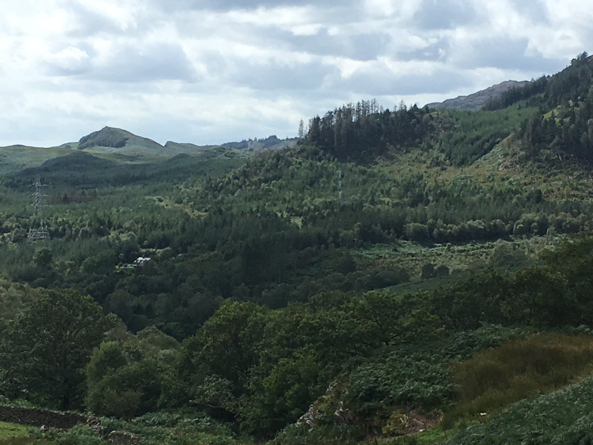 Matthew Walker (BSc Forestry) has recently accepted a position with  @silvicultureUK on their new  #graduate scheme, after six months working in  #Scotland with Eamon Wall and Co.  @TheICF (7/-)