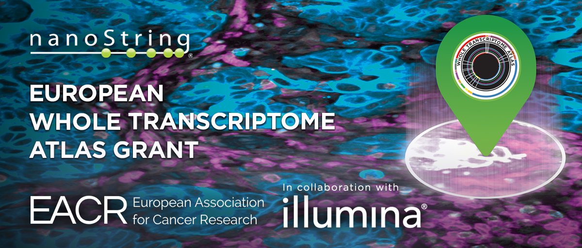 brukerspatial's tweet image. Now open! Research Award for #SpatialBiology across the #WholeTranscriptome. Two awards available: Human & Mouse.
#SpatialTranscriptomic. In partnership with @EACRnews and @illumina.
Apply today! ow.ly/Bfig50EwdaV