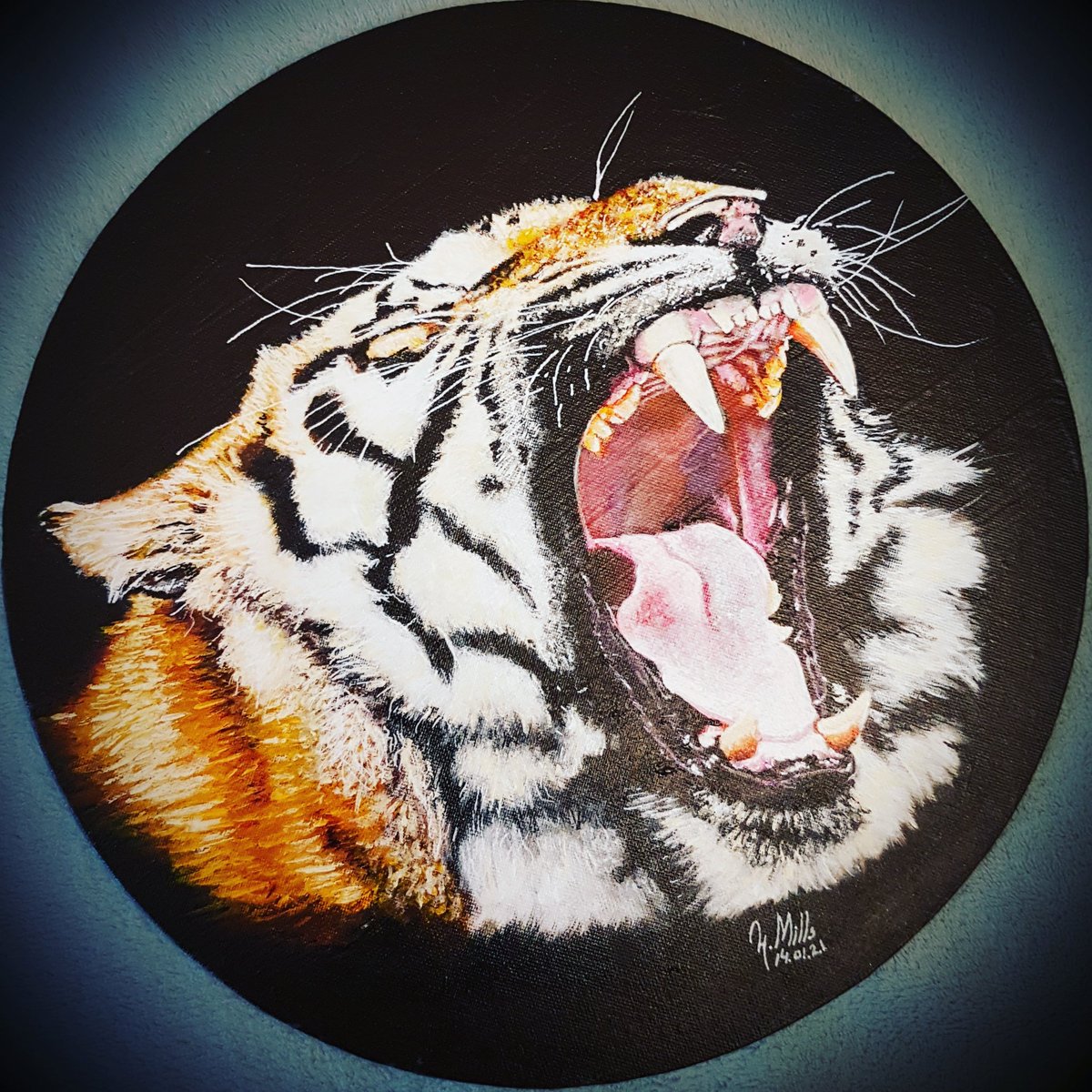 hannahmills531's tweet photo. Tiger Roar. Acrylics on canvas. Result of studying a photo taken by Michael Peach. #tiger #roar #bigcat #roundcanvas #ArtistOnTwitter #furball #wild #artist #visualart #artoftheday #artstudio #workoftheday #workinstudio #myart #instart #twitterart #painting #Artlovers #Art https://t.co/8gg2j0o6Co