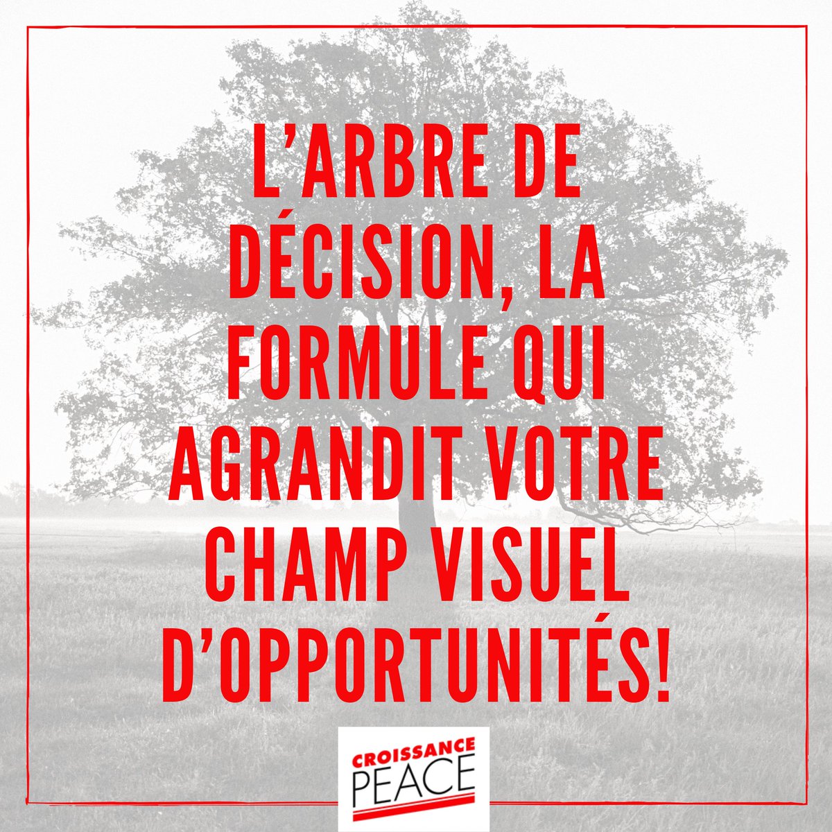 CroissancePEACE's tweet photo. Les actions de gouvernance nécessitent la prise de décisions variées. Dans le cadre de ses programmes d’accompagnement, #croissancepeace aide à construire un arbre de décision (seul ou en groupe) lors de séminaires de formation sur mesure.
--
Infos : contact@croissancepeace.org https://t.co/53VItteQuH