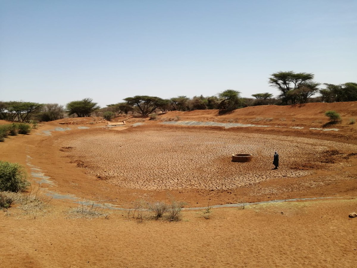 Somalia is on the front line of climate change. More than 80% of the country is experiencing moderate to severe drought conditions. We are on the brink of a human catastrophe: urgent and immediate funding is needed now. More here: bit.ly/3nhIE1Z