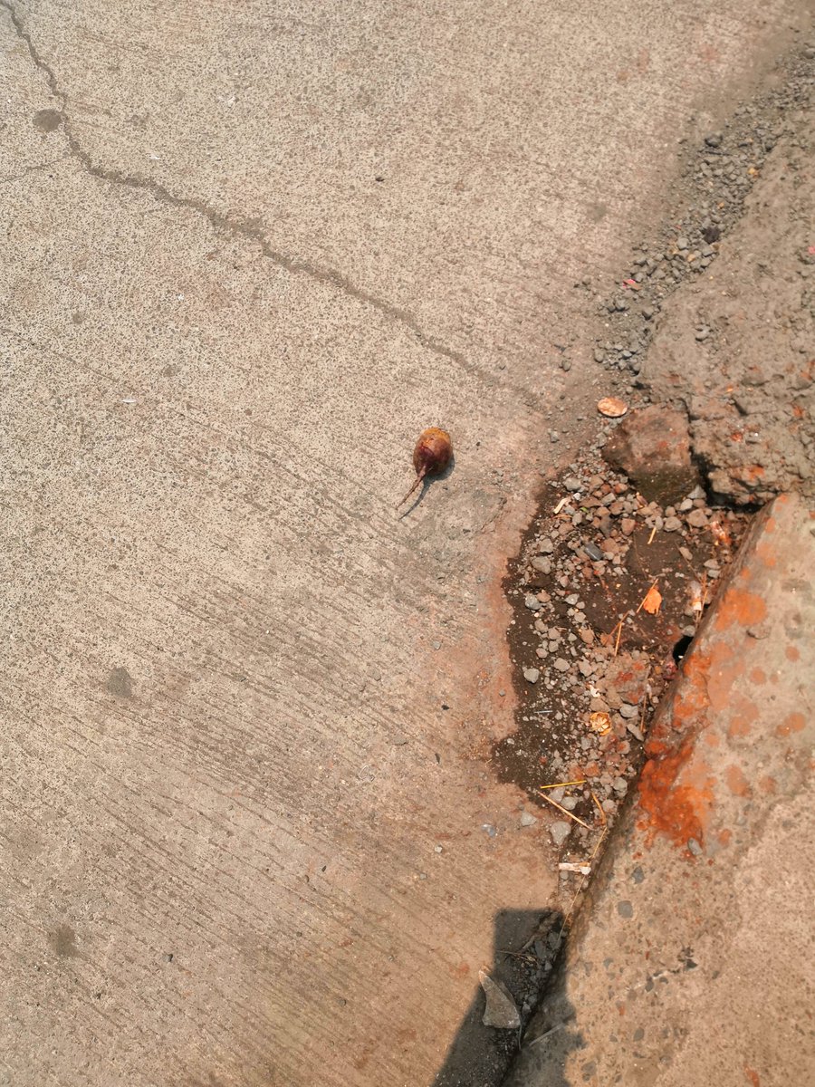 the19Intruder's tweet photo. I have been facing a lot of issues from people throwing any stuffs from nearby building and damaging my car which is parked outside my house opposite to the building.The secratery of building shree Samarth Viscaria never solves this issue. @MumbaiPolice any suggestions? https://t.co/dM5Rxu2i7P