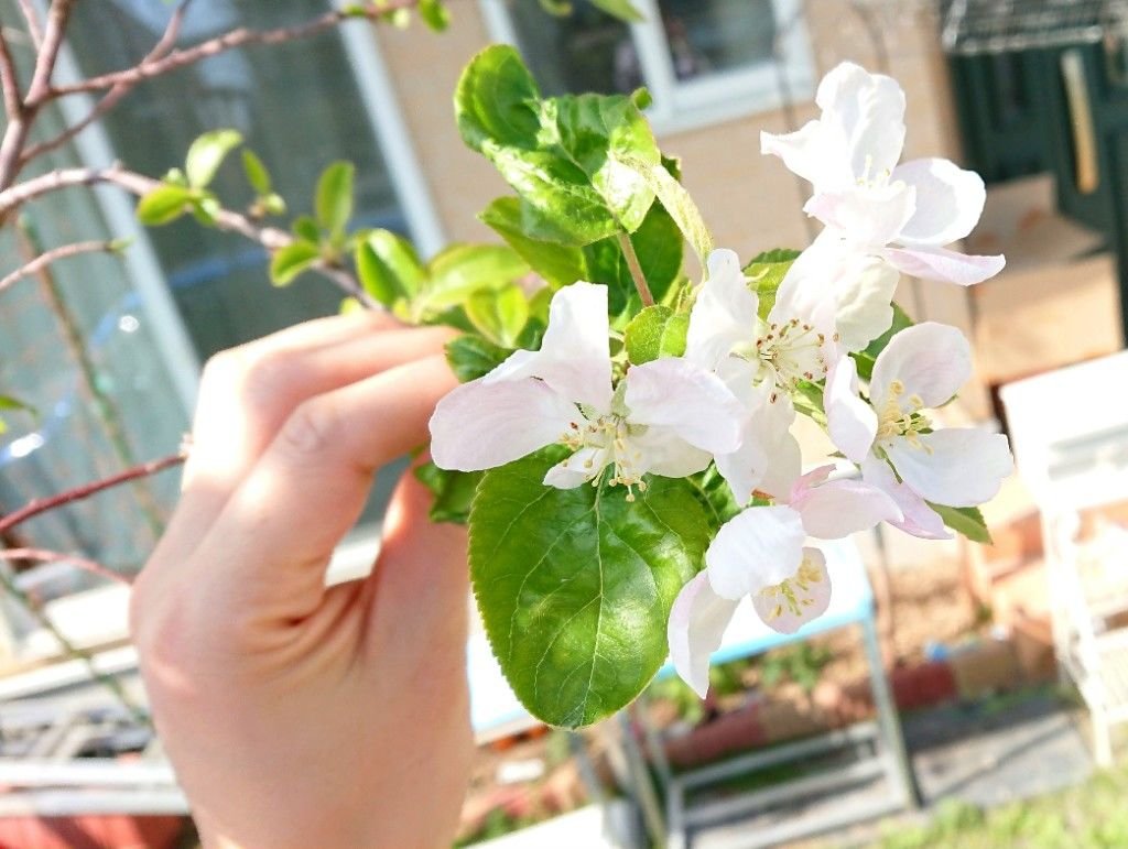 りっちゃん ʚ♡ɞRina tweet media