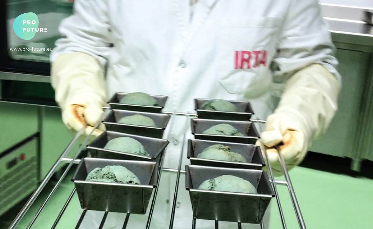 irtacat's tweet image. In the #ProFuture project we are studying the potential of adding #spirulina as a trend ingredient in bread 🍞

The goal is to create a nutrient-dense version, with more #protein, and also other nutrients such as phenolic compounds, vitamins and minerals.

bit.ly/3xp8RQN