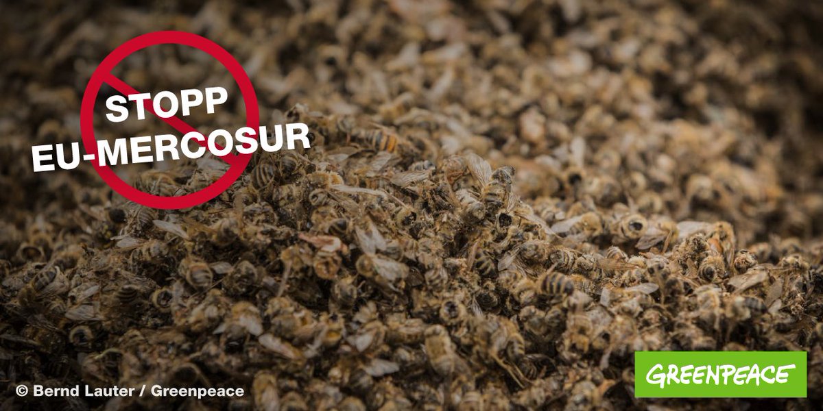EU-Mercosur steht für noch mehr Pestizide in der Landwirtschaft! Ein echter Killerdeal für die Artenvielfalt! Und ein echtes Geschäft für @Bayer und @BASF_DE. Dank der “freundlichen” Unterstützung von @peteraltmaier #stopeumercosur