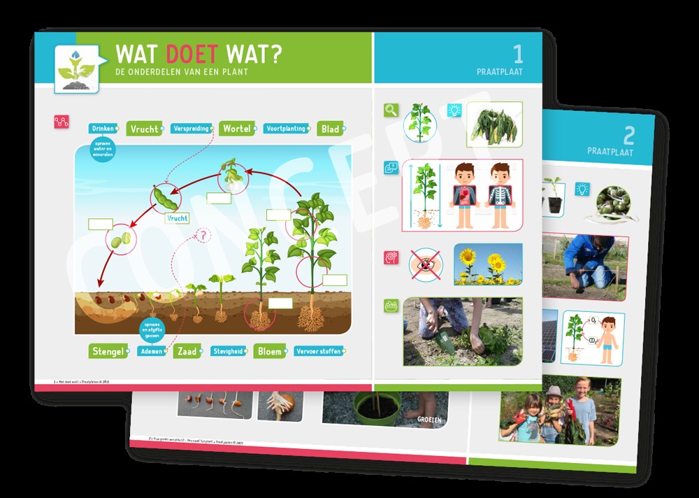 Handige praatplaten voor #moestuincoaches of #leerkrachten die in de #moestuin lesgeven. Doelgroep: kinderen van groep 6 t/m 8. Meer info: jonglereneten.nl/praatplaten-be…