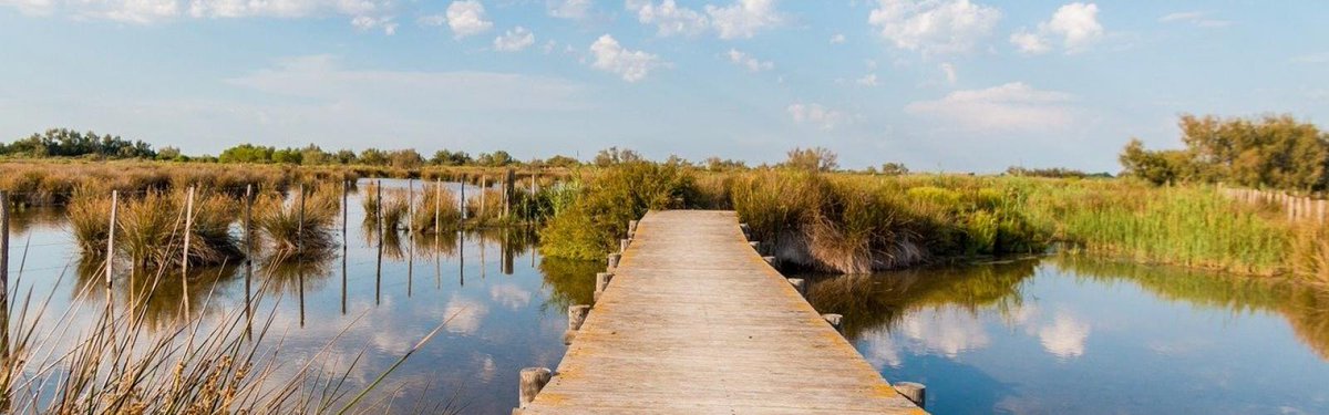 [Fabuleux Voyages] Balade à cheval, à vélo et sortie en mer : nos bons plans pour vous faire plaisir lors de votre prochain voyage en Camargue Gardoise 🦩. tourisme-occitanie.com/decouverte-act… #VoyageOccitanie