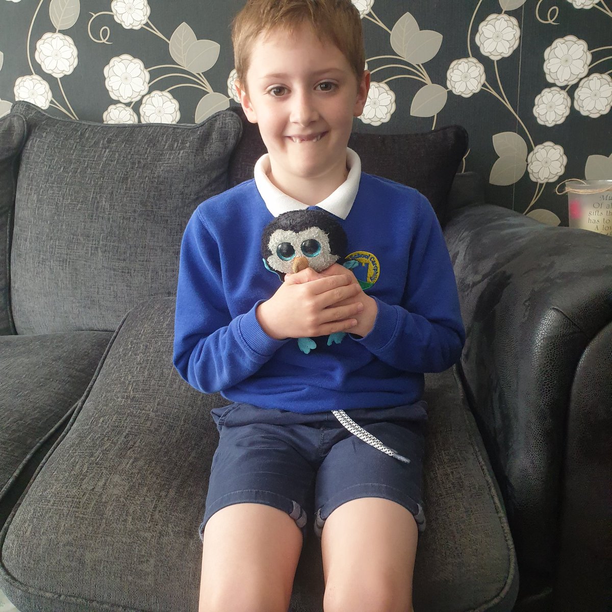 Charliex1984x's tweet photo. @CWOA #WorldPenguinDay - baby penguins are called chick's but my penguin in called Mr Poppers 🐧 https://t.co/t7QjByWVE7