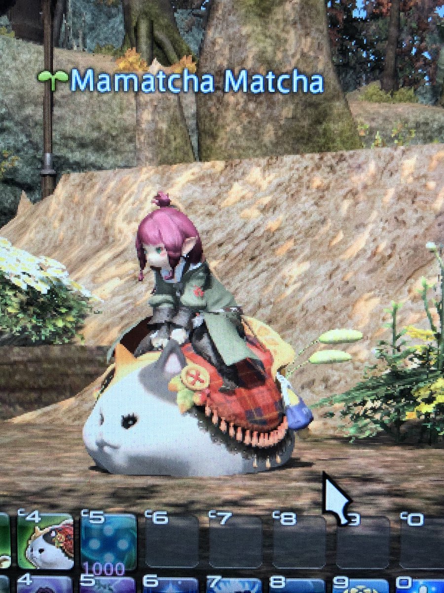 Mags 💌Postmaster Onion💌 tweet media