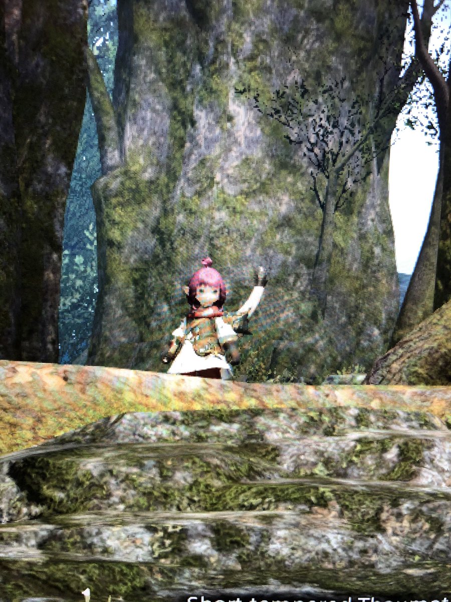 Mags 💌Postmaster Onion💌 tweet media