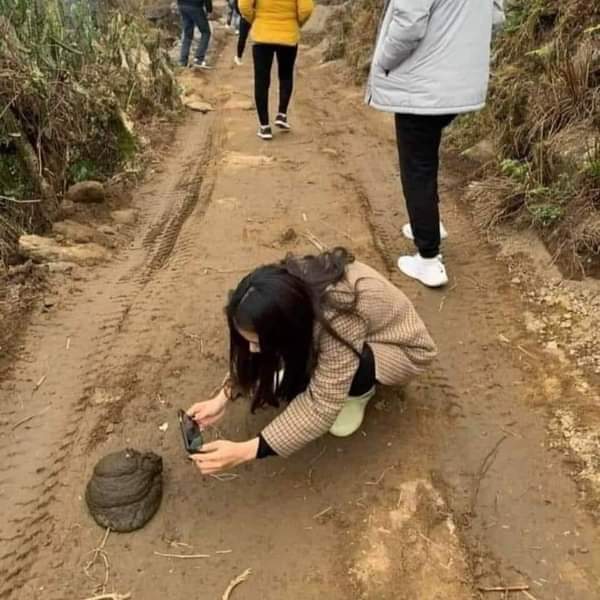 WasafiriP's tweet photo. A closer look at nature? 😂🤣😂
Wasafiri app will feature a vibrant global community of travelers sharing #content like this 😊
#Safari #wildlifephotography #dung #travelvibes #wildearth #wildlife #ecosystem #nationalparks #magicalkenya #africa #wasafiriapp #newapp https://t.co/QpfQpNiS5L