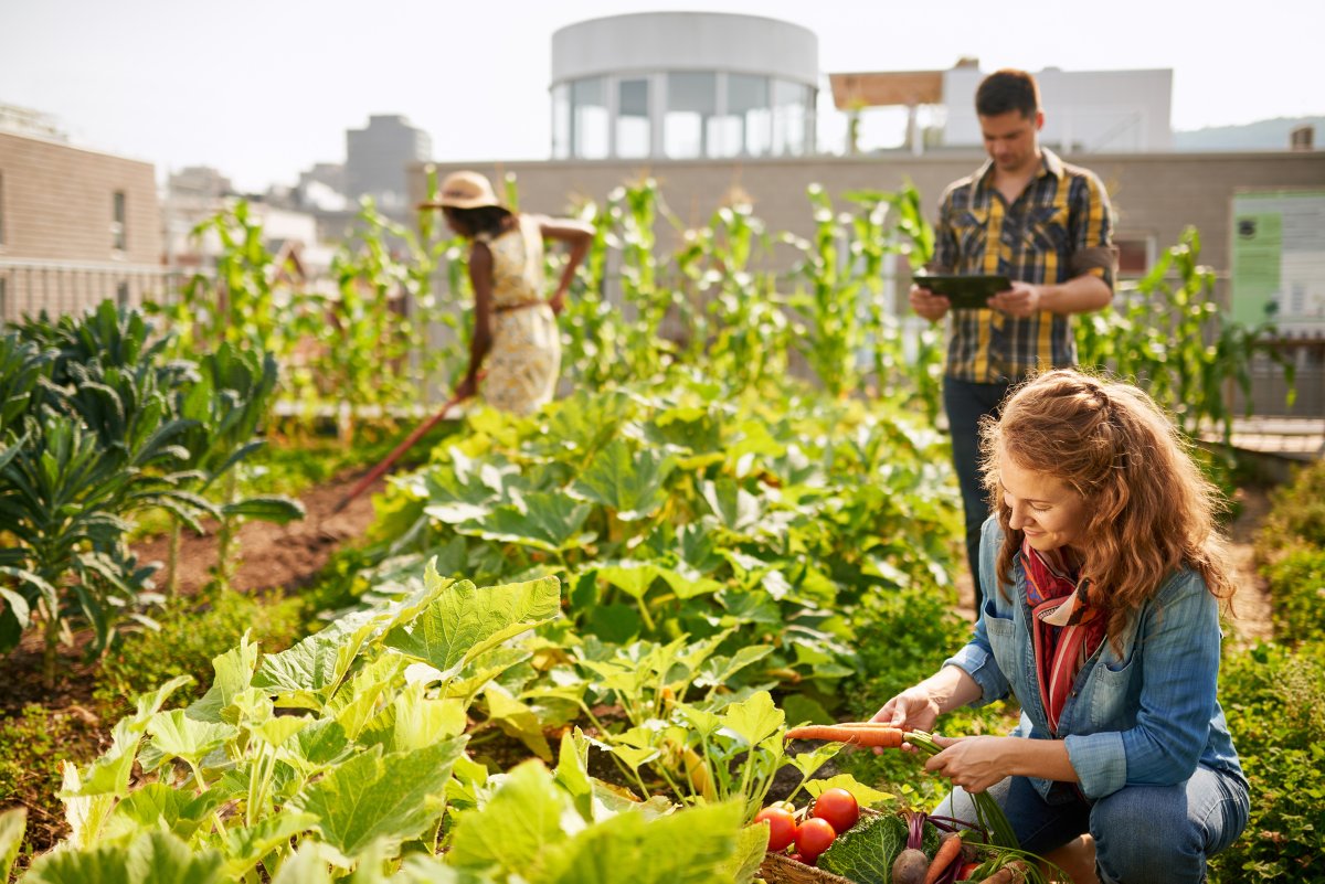 La #bioéconomie ? C'est remplacer matériaux & énergie issus du pétrole par leurs équivalents issus de la biomasse
>cultures : chanvre,sorgho,..
>biodéchets : agricoles, industriels, urbains, eaux usées
👉On en parle à la conférence #EUBCE2021
👉Nos travaux url.inrae.fr/3tQUNgw