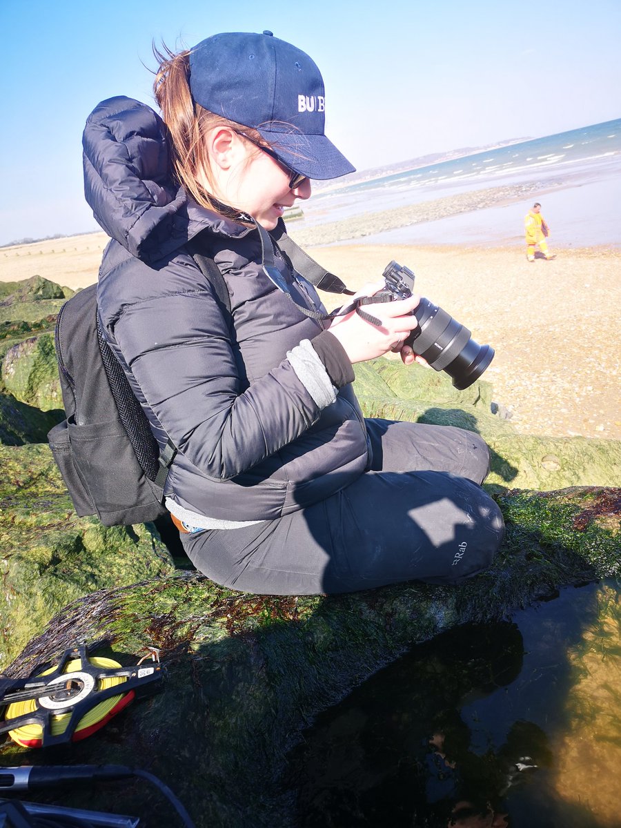 Dr Alice Hall tweet media