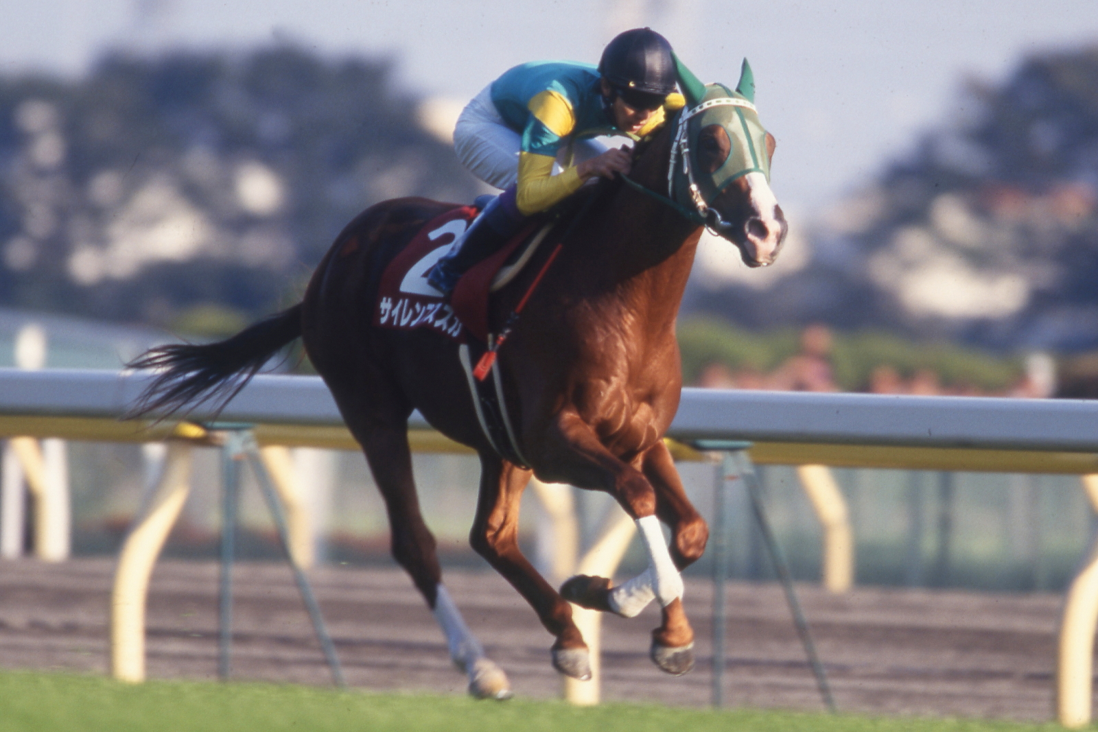 Jra Van公式 史上最高のg2 として今なお語り継がれる98年の 毎日王冠 競馬史に残る名馬エルコンドルパサーとグラスワンダーを抑えて 稀代の逃げ馬 サイレンススズカ が圧勝しました 今年も伝説となるようなレースが生まれるでしょうか 今年の毎日