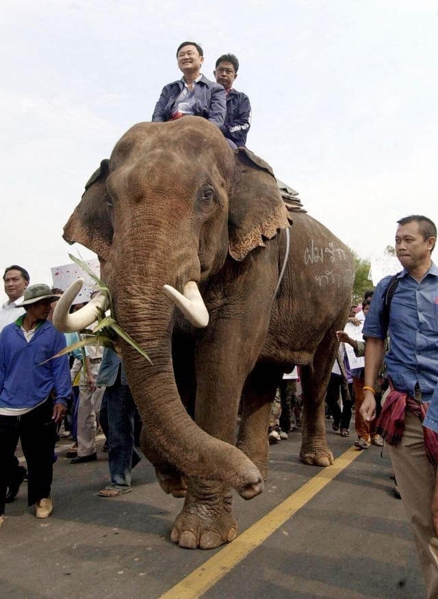 Newin got even closer to Thaksin by arranging various black magic spells and rituals for him, including in March 2006 when Thaksin rode into Buriram on the neck of an elephant with Newin walking alongside. 8/16