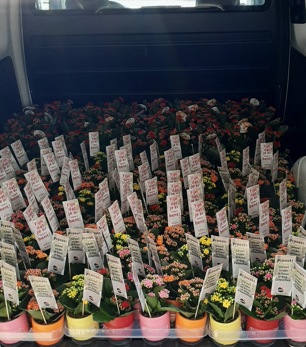 We steken horeca-ondernemers een hart onder de riem door in samenwerking met @AlwaysKalanchoe de terrassen in Nederland op te fleuren. We gingen met onze Kalanchoë’s langs bij het terrassenplein in Naaldwijk. Wat hebben we zin om woensdag weer aan te schuiven!#kalanchoevoorhoreca