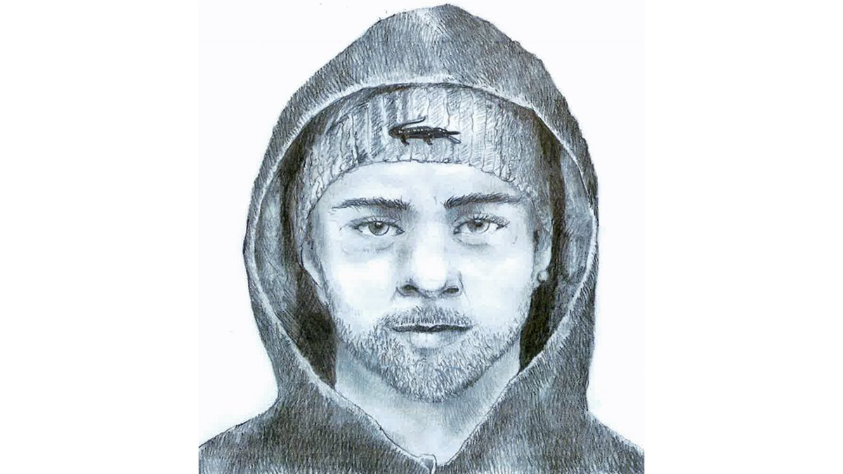 #zedenfeiten - Wie herkent deze dader? Aanranding van de eerbaarheid in Antwerpen op 08-03-2021. tinyurl.com/j4fnrpjp