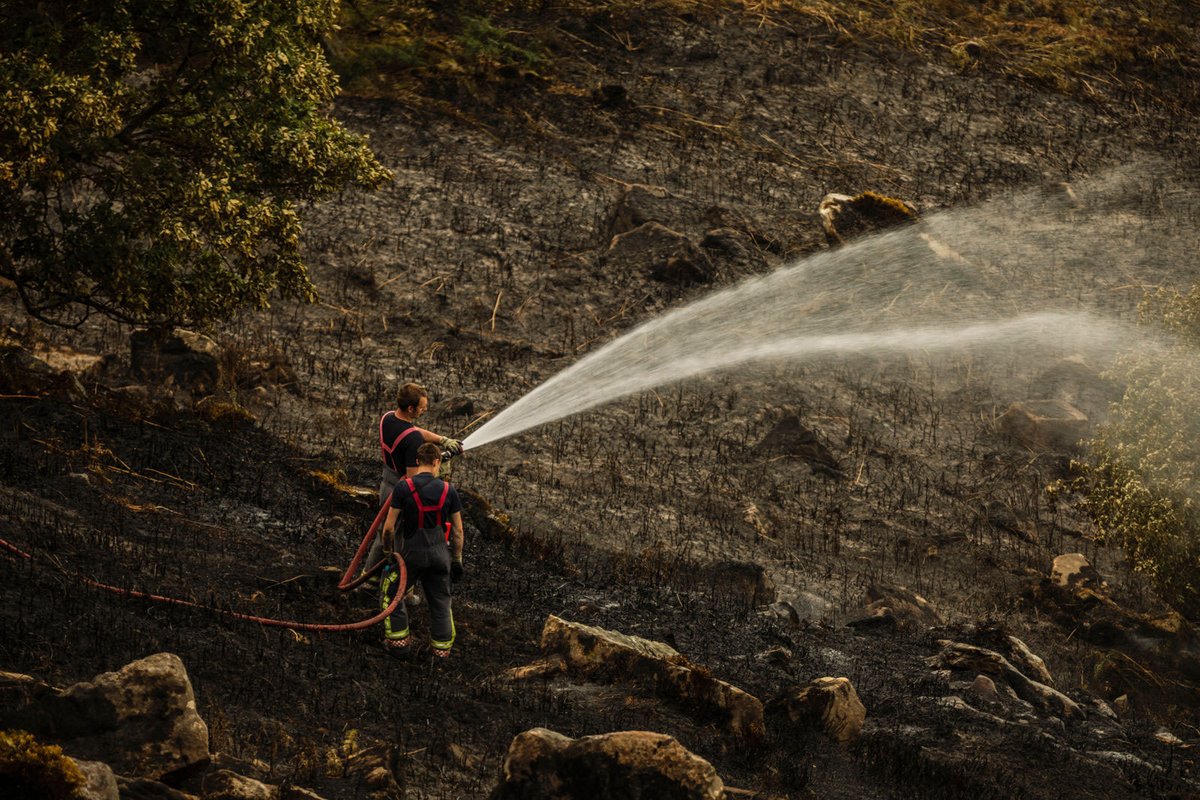 Peak District National Park tweet media