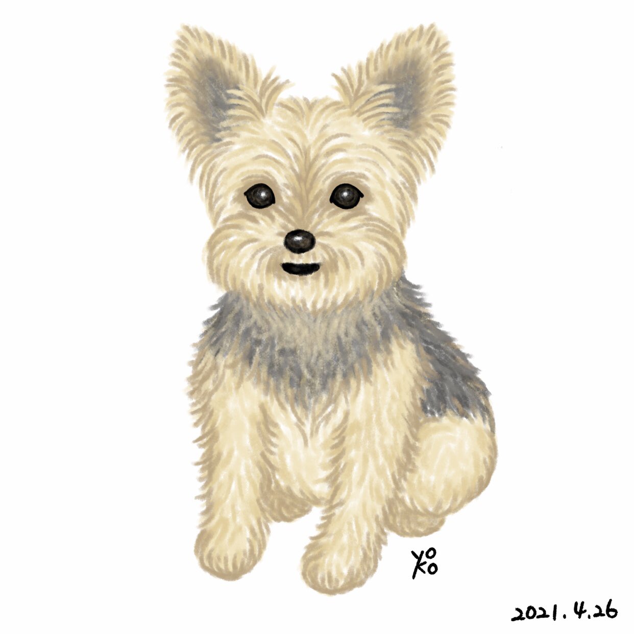 טוויטר Chippoke ようこ בטוויטר 犬絵 ヨークシャーテリア 久しぶりに犬の絵 うちの子です イラスト デジタルイラスト 犬イラスト 犬の絵 犬 ヨーキー ヨーチワ Chippoke犬絵 T Co Miepyfyfpi
