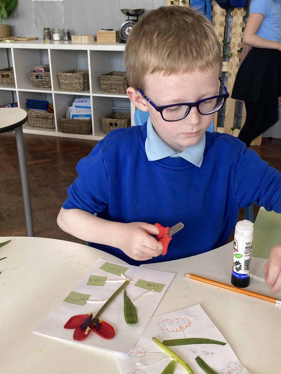 CadoxtonPS's tweet image. How do plants grow? We’re taking a closer look in #CPSTaf #Growing #PlantReproduction