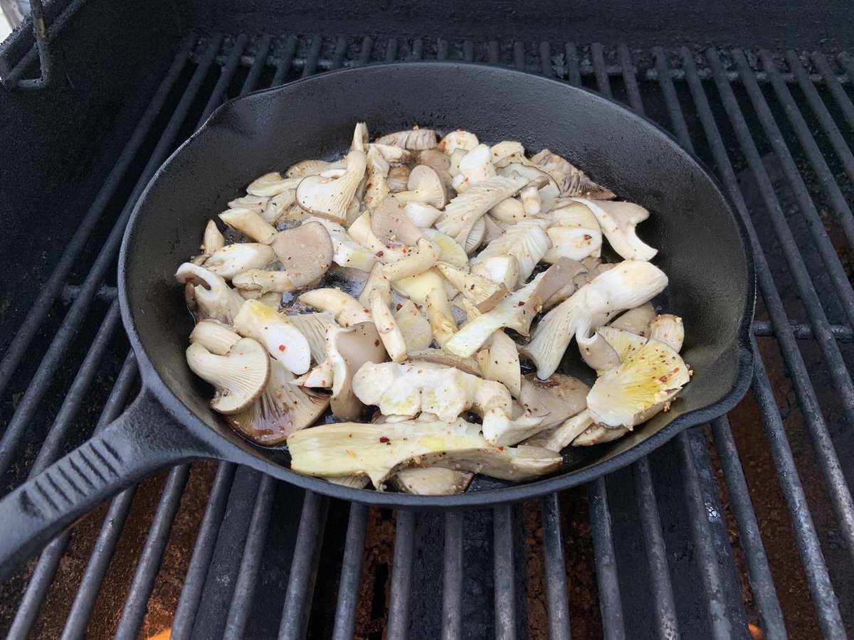 SolsticeMedia's tweet image. When  Scoochville Farms Blue Oyster Mushrooms are the Star of the Show!!