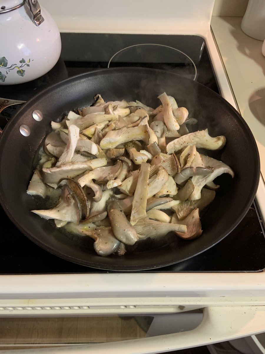 SolsticeMedia's tweet image. When  Scoochville Farms Blue Oyster Mushrooms are the Star of the Show!!