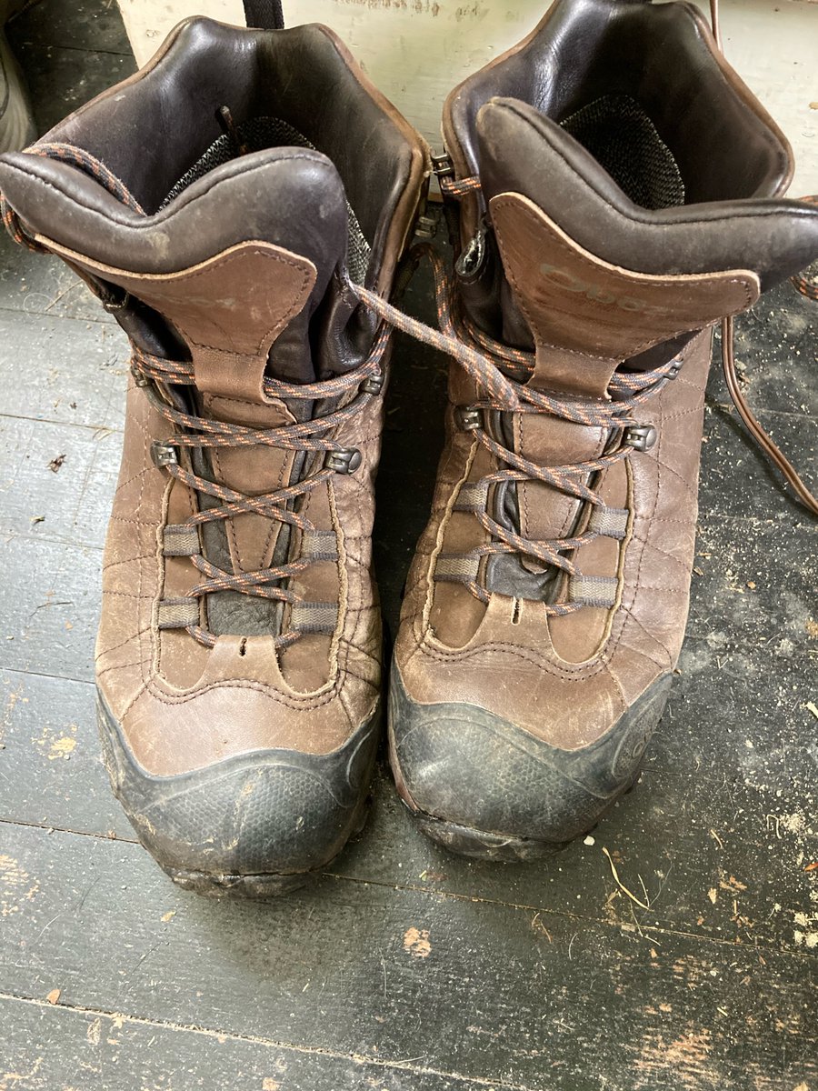 sdmarkow tweet media