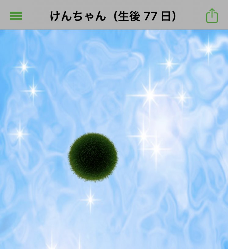 btpb0912's tweet photo. すくすく https://t.co/bw4yS1VMYa