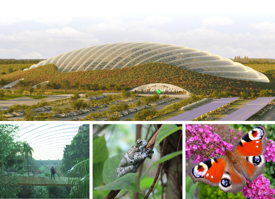 MedefOpale's tweet image. Le @MedefOpale partage son avis sur le projet #Tropicalia :
✔Jardin #tropical innovant = projet raisonné pour le dév. du territoire 
✔Projet respectueux #conditionanimale &amp;amp; qui épouse son #environnement naturel
✔Dôme autonome en chauffage
Plus d'infos : medef-cote-opale.com/fr/actualite/a…