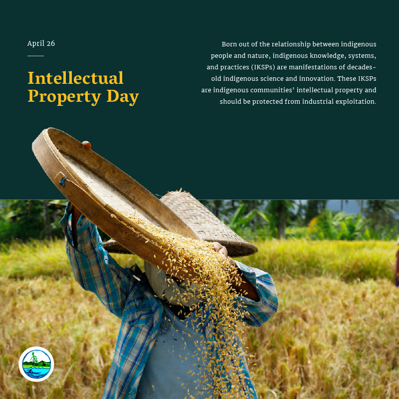 ICCAPH's tweet photo. This #WorldIPDay we put a spotlight on indigenous peoples' indigenous knowledge, systems, and practices (IKSPs).
Born out of the relationship between indigenous peoples and nature, IKSPs are manifestations of generations-old indigenous science & innovation.
#ICCAPH https://t.co/BK0h1dj332