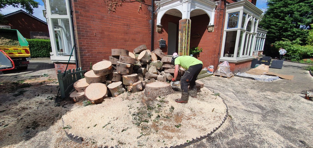 Sam Sutcliffe (BSc Forestry) is working with Westfield Tree Services in Lancashire and very much enjoying gaining a lot of invaluable, hands-on practical experience. Sam says “I'm absolutely made up by it, if not least just for finding a job in this climate.” (9/-)