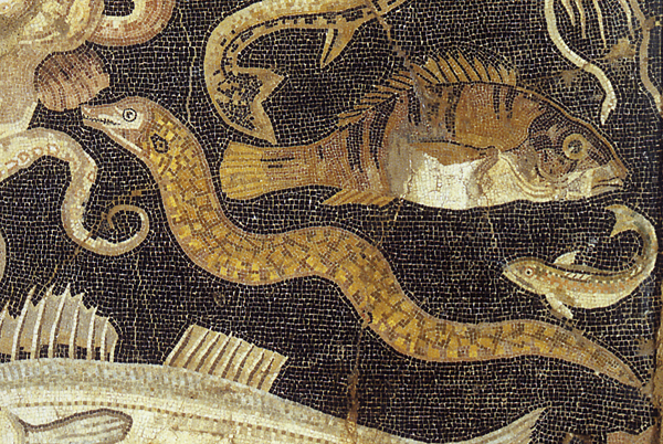 The mega-thread for  #NationalPetMonth continues! We now go to Ancient Rome and meet Lucius Crassus who was so devoted to his beloved pet eel that he fed it by hand, put earrings on it (!), and sobbed at the eel's funeral (p.s. follow  @greenleejw for all your eel history needs)