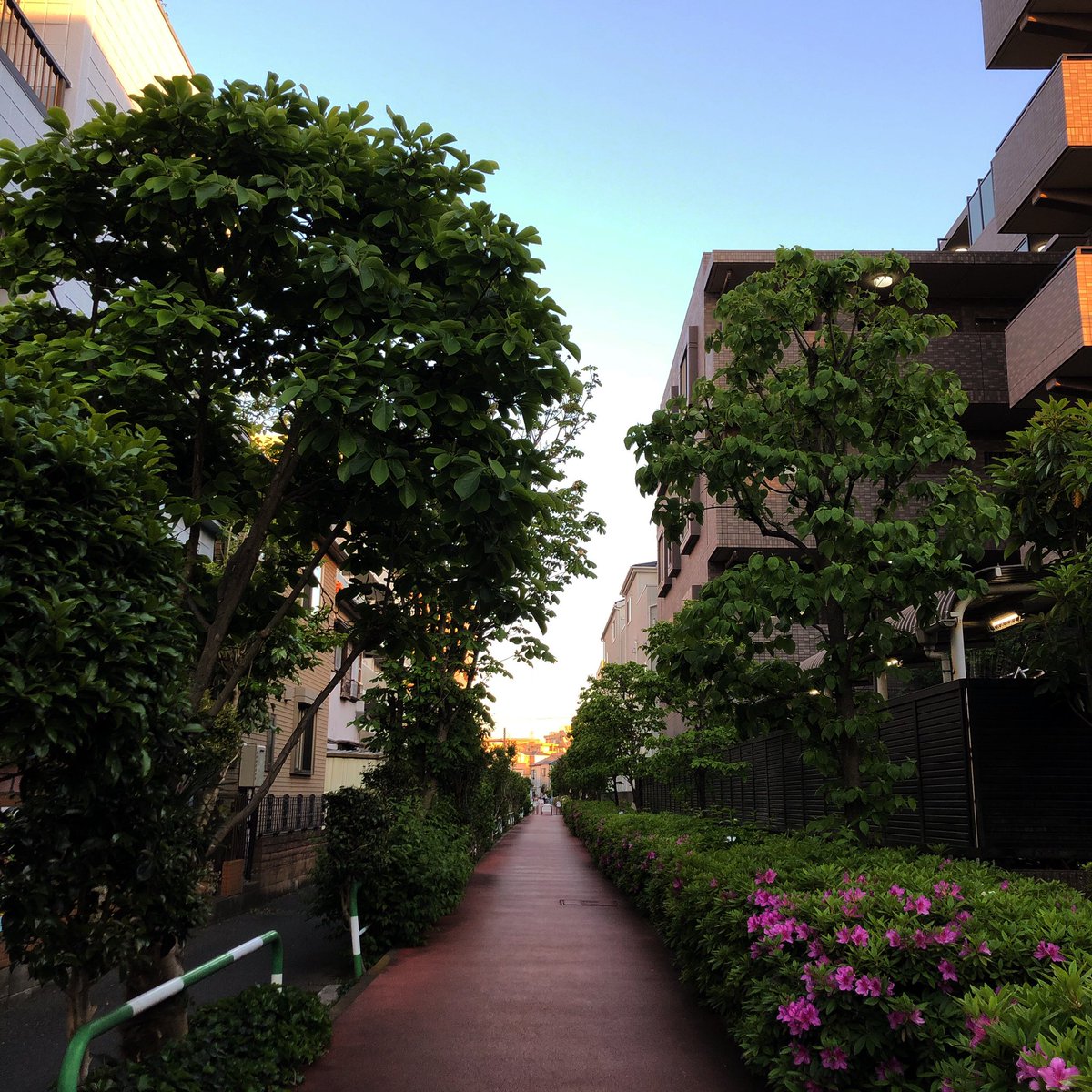 yutaro69's tweet image. 今日も
#runlikehell