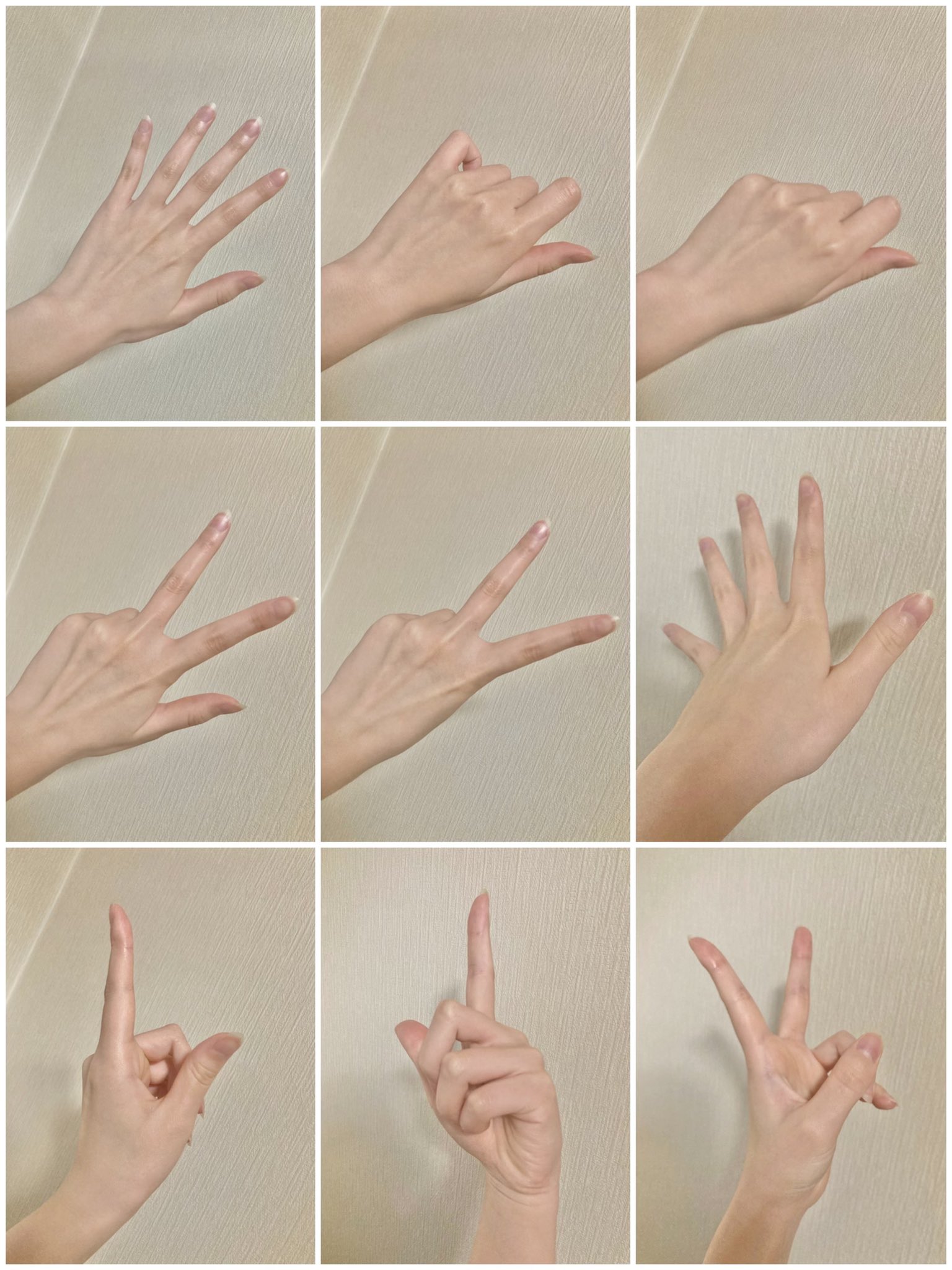 使える女性らしい手の資料 絵描きさん 手の描き方をマスターしたい方どんどん使いましょう 話題の画像プラス