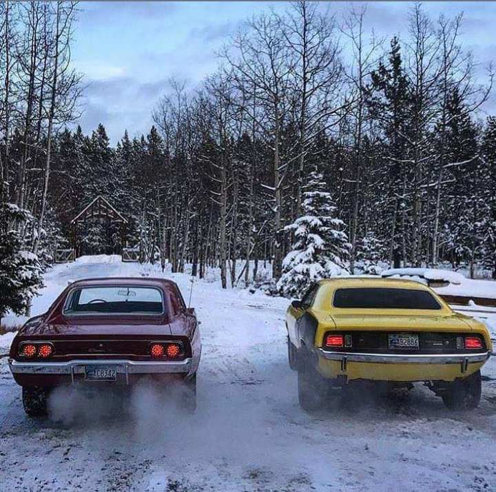 Searching4me22's tweet photo. Good morning ☕☕☕🌞🌺💕🤗
#MOPARMONDAY
#WELCOMESPRING
#THINKWARM
#BROTHERLYLOVE https://t.co/8MYpUOb7X4