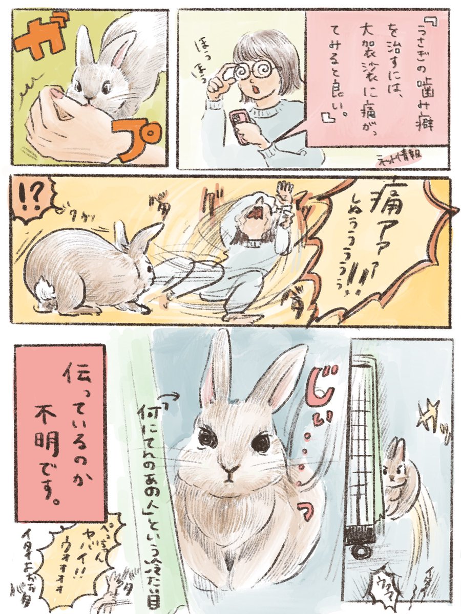 まいにちうさぎのおぱる Mainichiopal さんの漫画 17作目 ツイコミ 仮