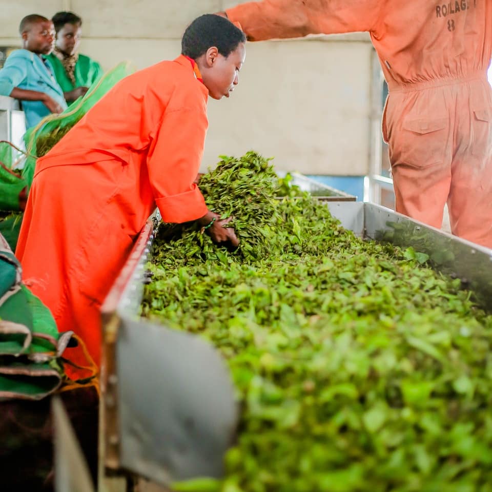 Umuringa Magazine tweet media