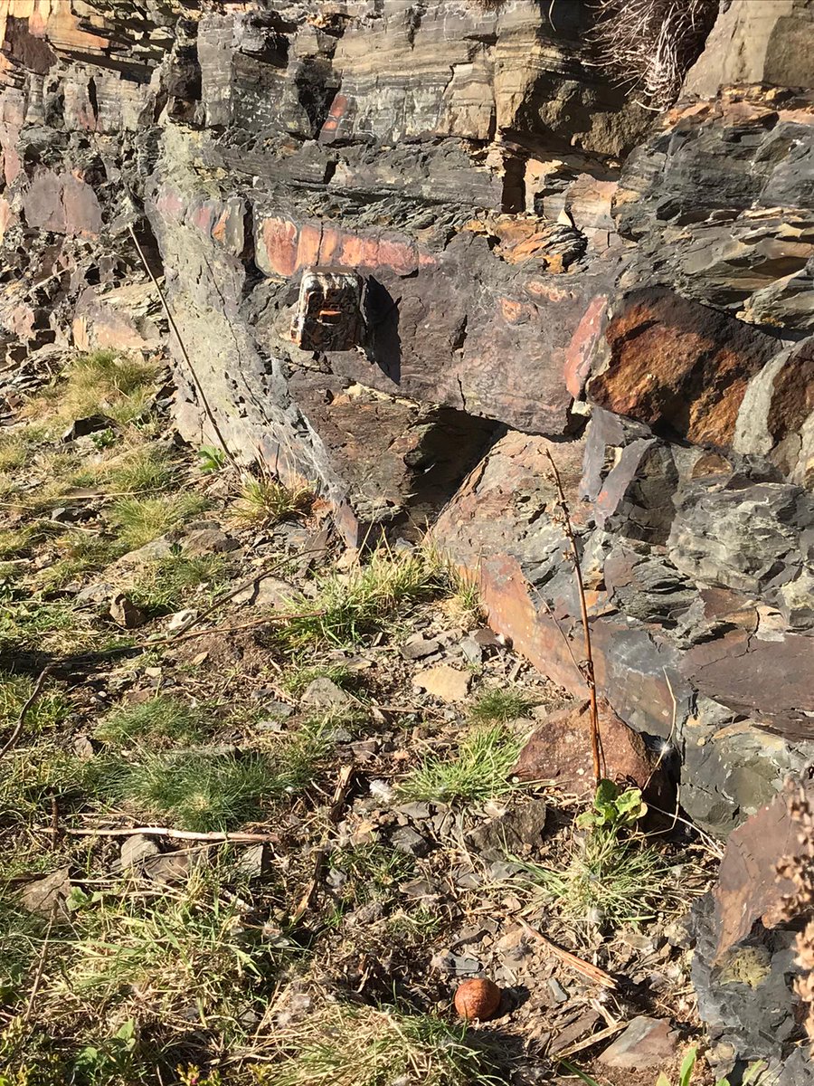 EagleReintroductionWales (@erwproject) on Twitter photo Dioch <a href="/raptor_jimmi/">Raptor Aid CIO</a> for installing our Peregrine nest trail-cams this weekend.
Dioch yn fawr <a href="/naturespy/">NatureSpy®</a> for provided our research equipment. We are excited to assess the climate suitability of our Welsh uplands. 🦅🏴🏞 Dioch <a href="/raptor_jimmi/">Raptor Aid CIO</a> for installing our Peregrine nest trail-cams this weekend.
Dioch yn fawr <a href="/naturespy/">NatureSpy®</a> for provided our research equipment. We are excited to assess the climate suitability of our Welsh uplands. 🦅🏴🏞