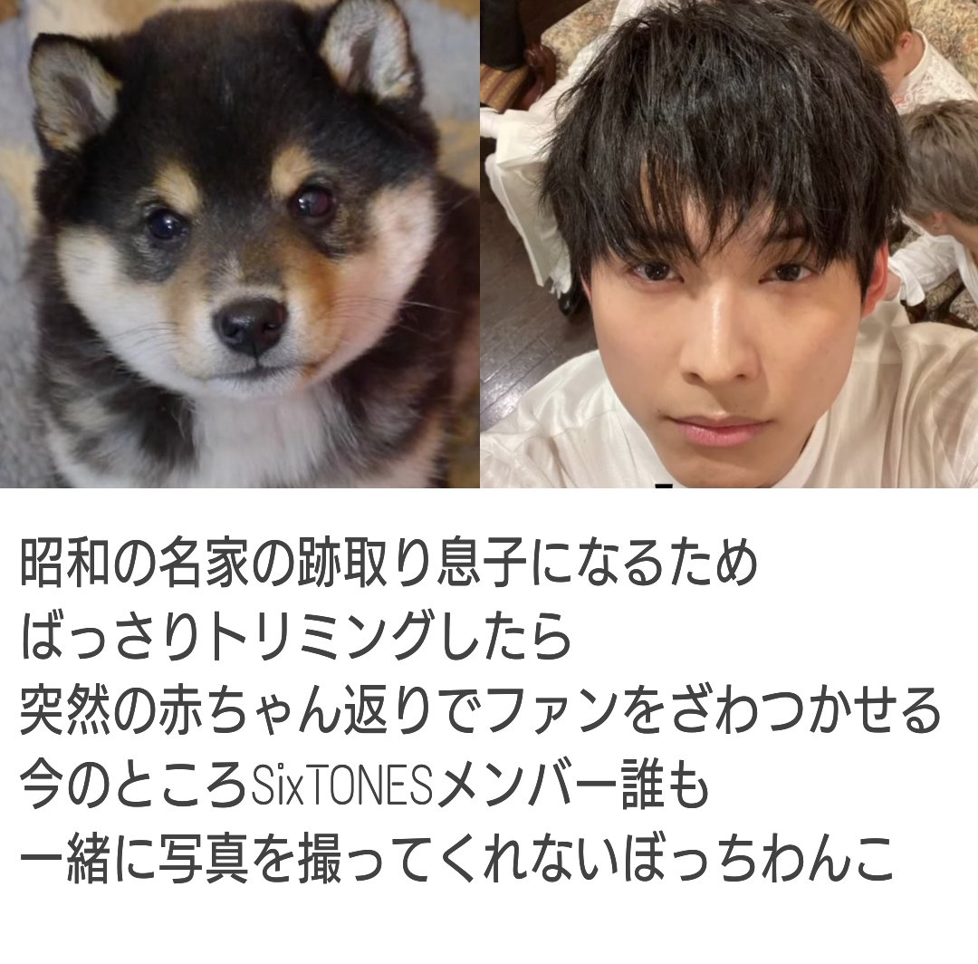 犬顔男子保護協会書記長 どんな髪型でもわんこになる松村北斗まとめ 自己満 ストグラムの短髪ほくちゃんがあまりにも可愛かったもので つい並べてしまった