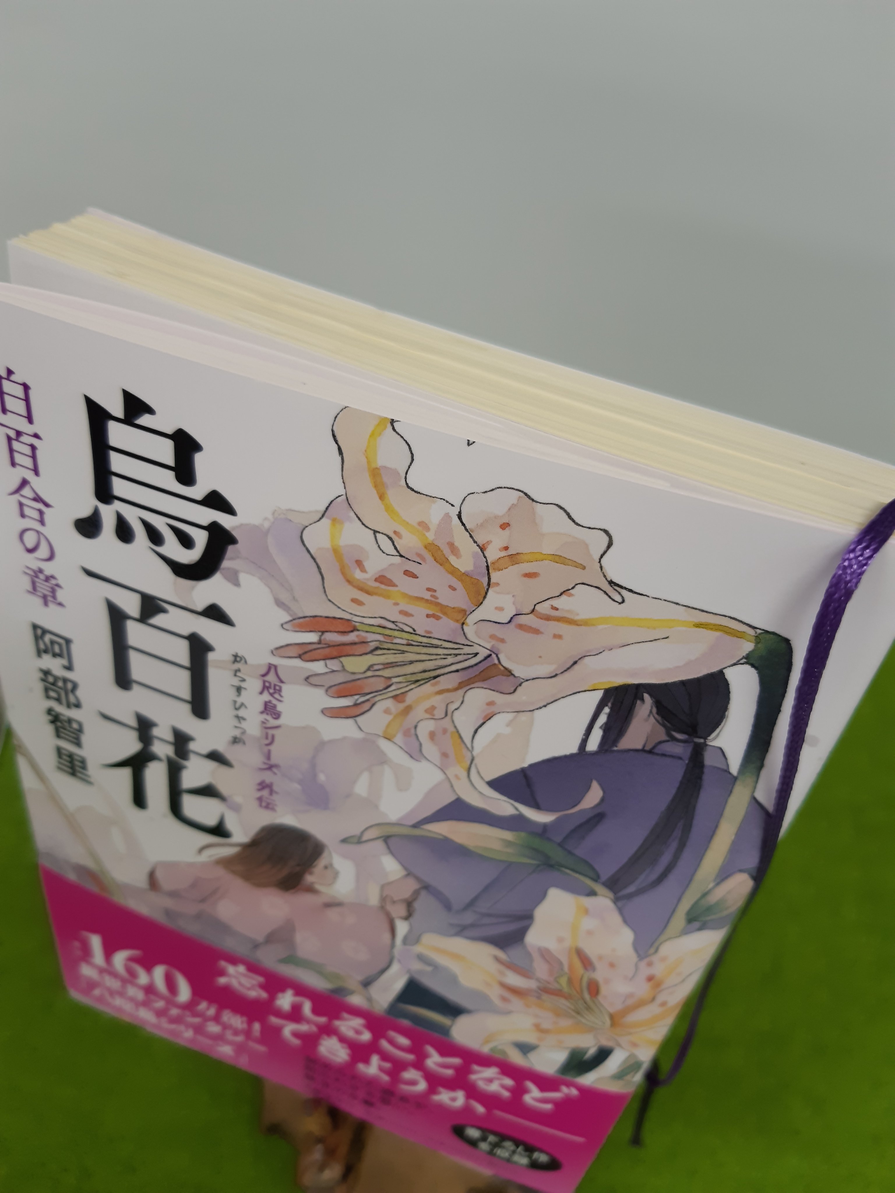 八咫烏の壺＠大ヒット和風ファンタジー阿部智里「八咫烏シリーズ