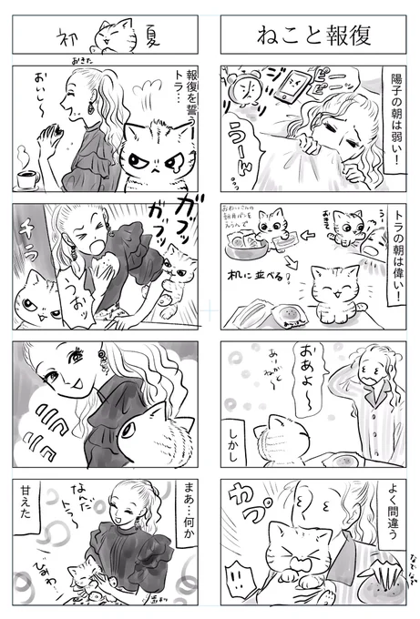 トラと陽子ねこが報復する! 