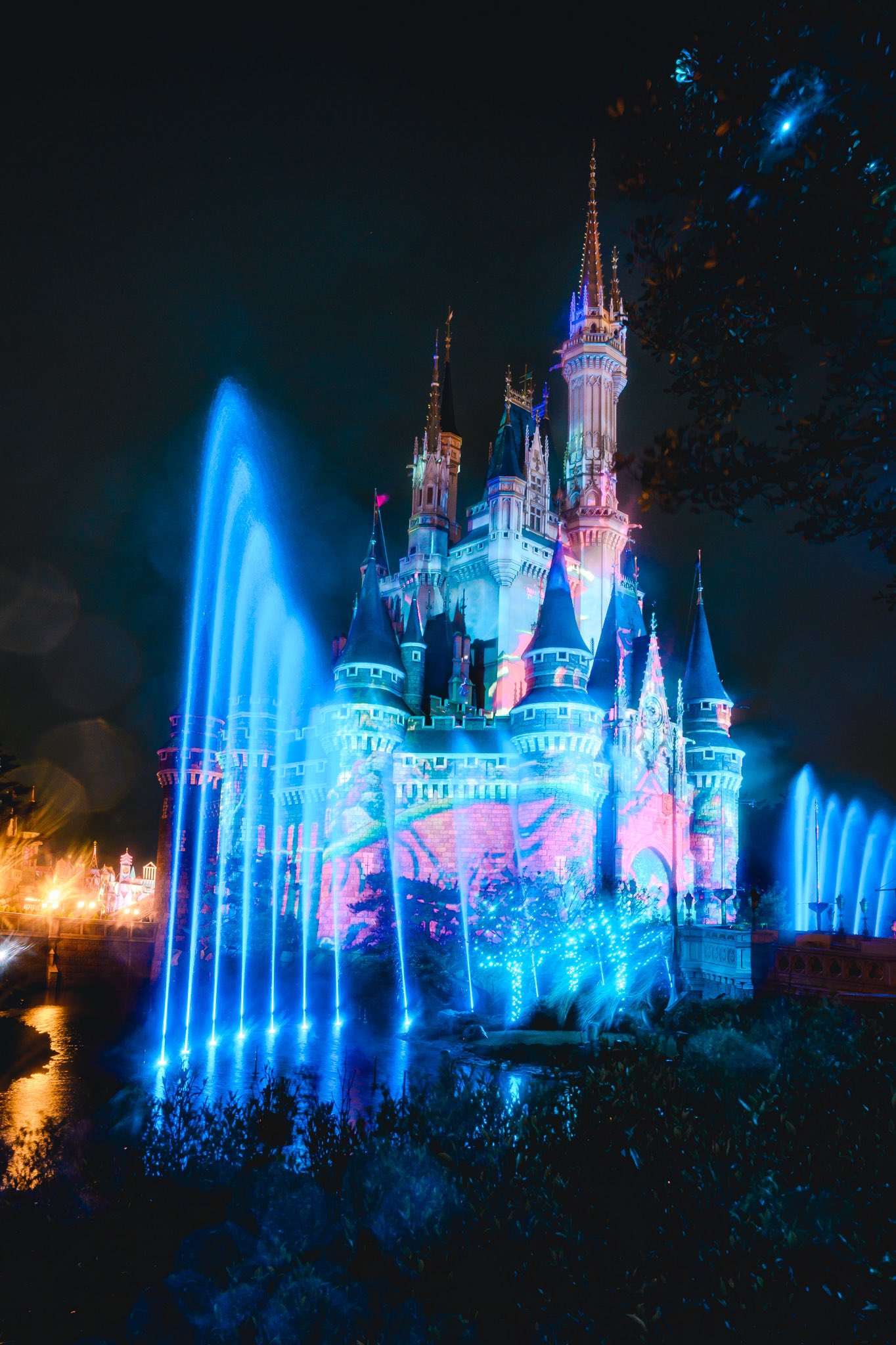 ちゃん セレブレイト 東京ディズニーランド Celebrate Tokyo Disneyland ナイトタイムスペクタキュラー Let The Memories Begin シンデレラ城のプロジェクションマッピングだけでなく パイロ 炎 夜空いっぱいに広がる光の演出がすごく良かった