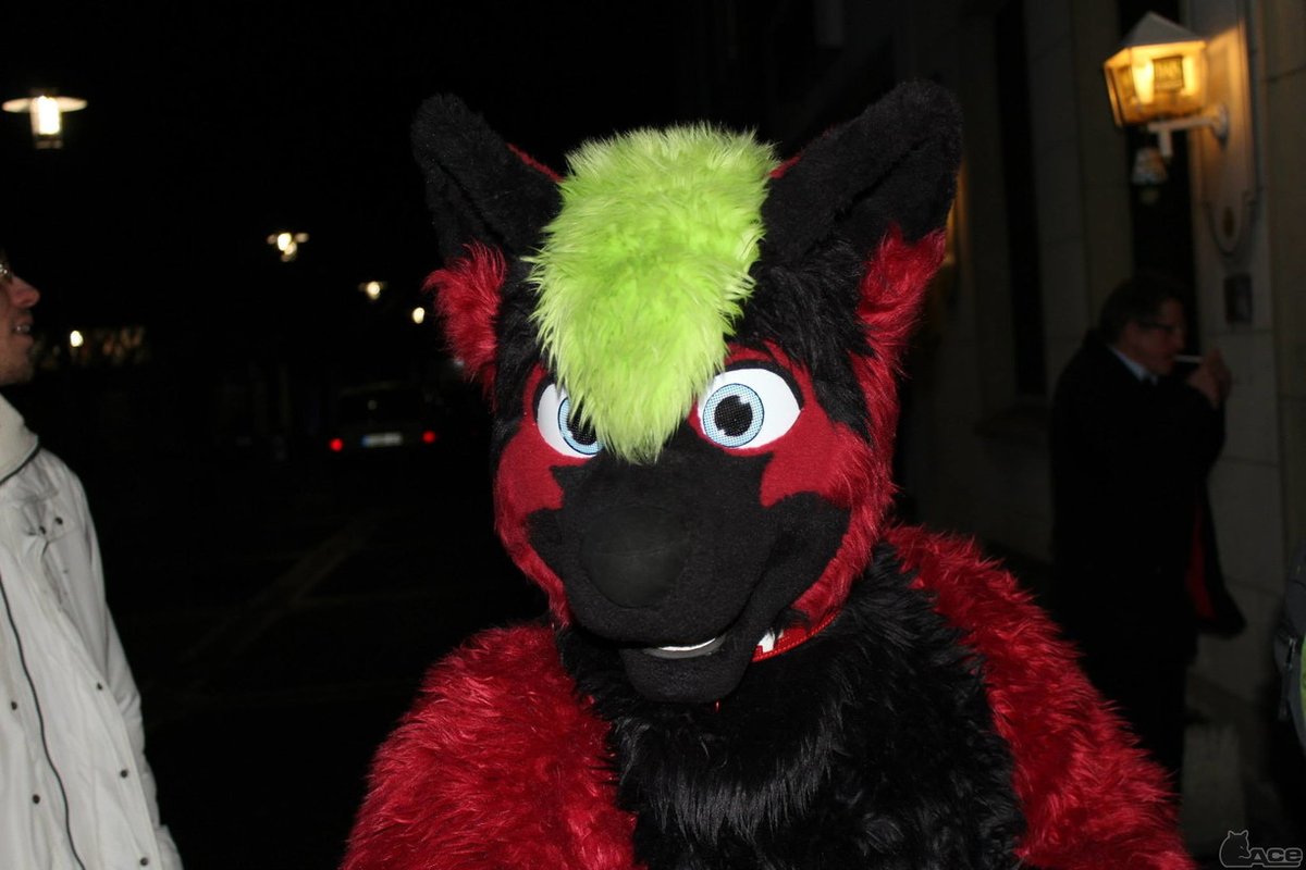 Fursuit Photo of the day