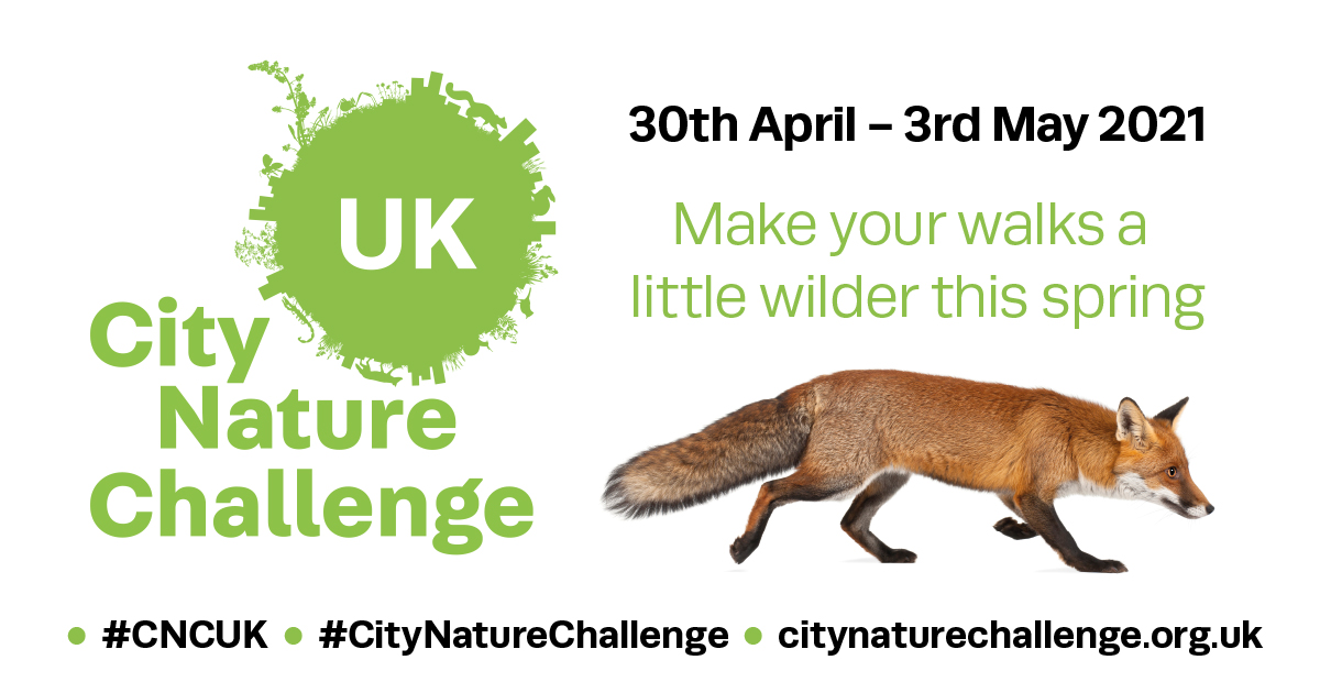 #CityNatureChallenge is back! From 30 Apr-3 May we're taking part in the global initiative to collect information about wildlife flourishing in urban areas. Whether you're an expert or someone who loves the great outdoors it couldn’t be easier to join in! citynaturechallenge.org.uk
