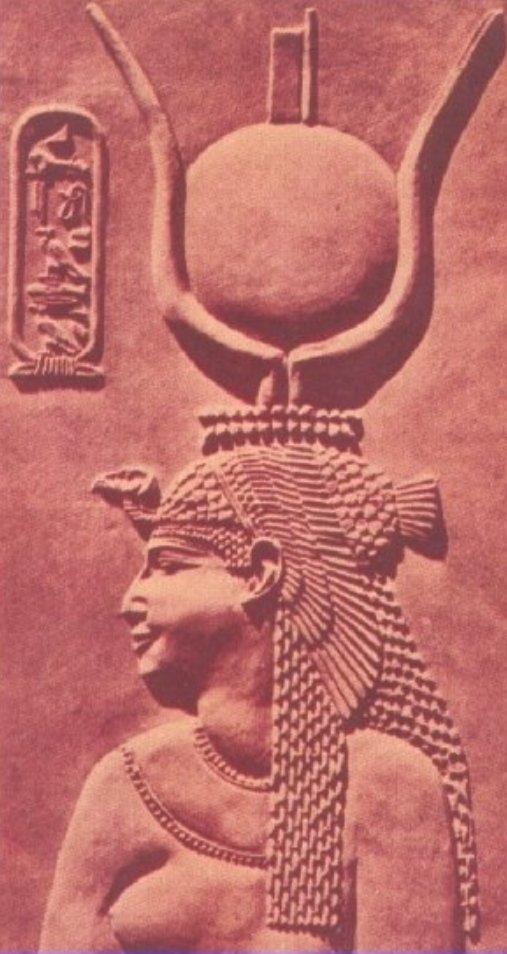 8) [not strictly mythological] thureos, a type of oblong greco-macedonian shield - thyroid cartilage and gland(Some think that this relief of Cleopatra is evidence that she had a goitre. This is not uncontroversial, and you may choose to read more about it. I choose not to.)