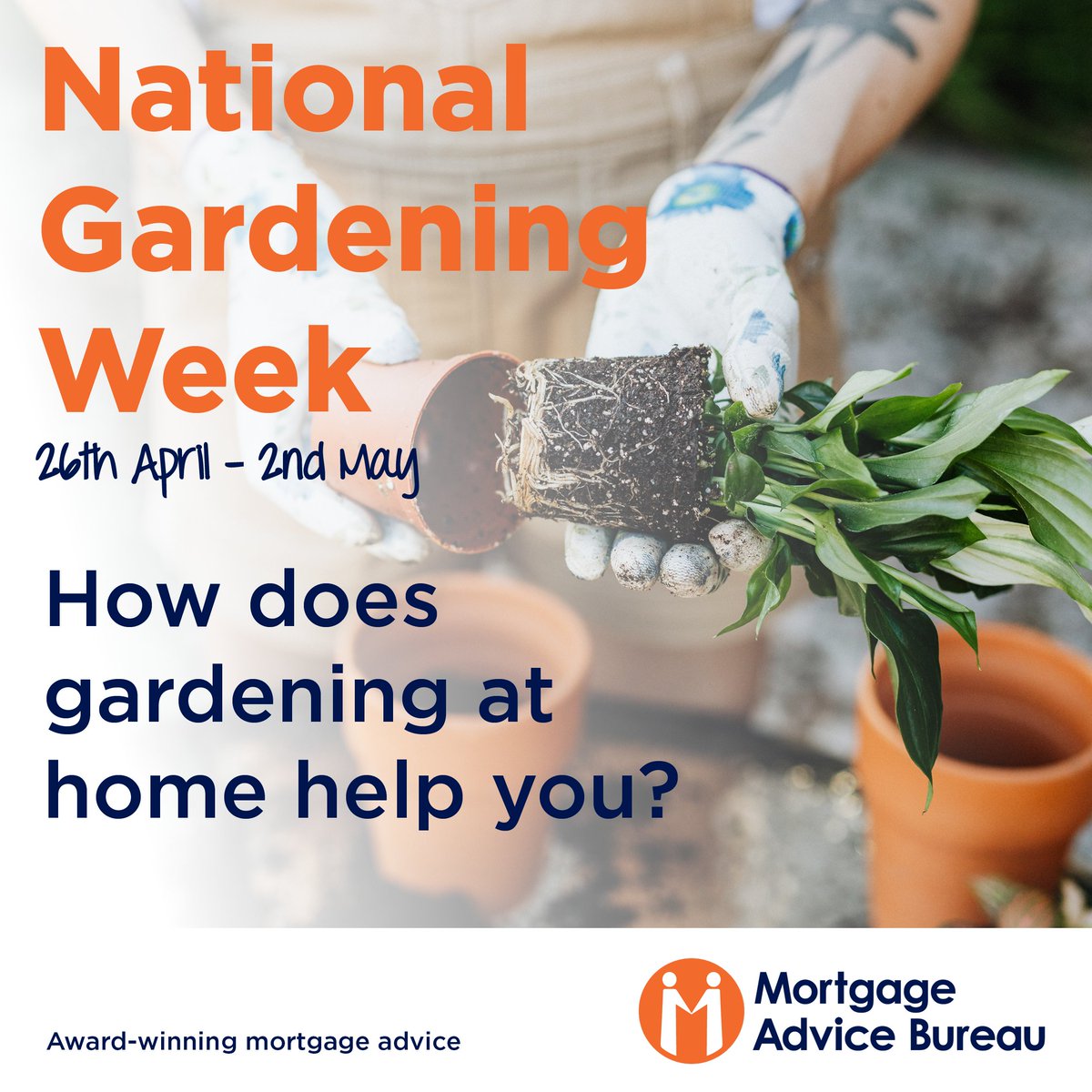 Hopefully the sun sticks around and we might actually be able to do some gardening! 🌷🌺🌸🌻🌼