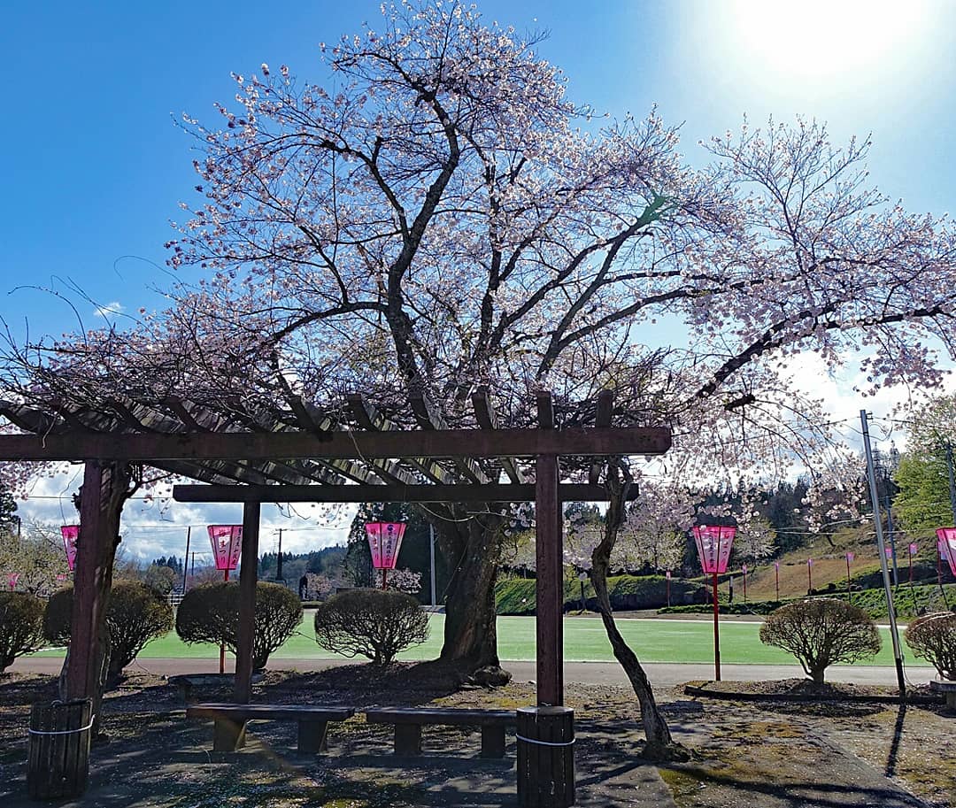 真室川 Twitter Search Twitter