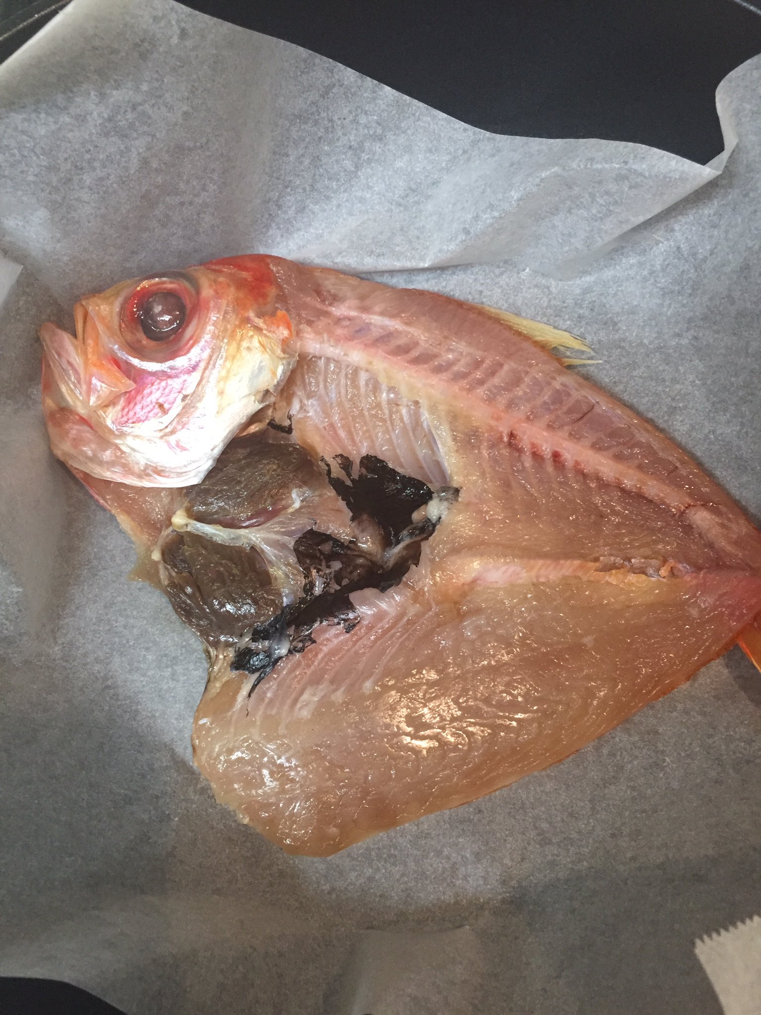 ただのサボテン 魚の死骸焼いてる T Co Luxirzzysm Twitter ただのサボテン 魚の死骸焼いてる T Co Luxirzzysm Twitter