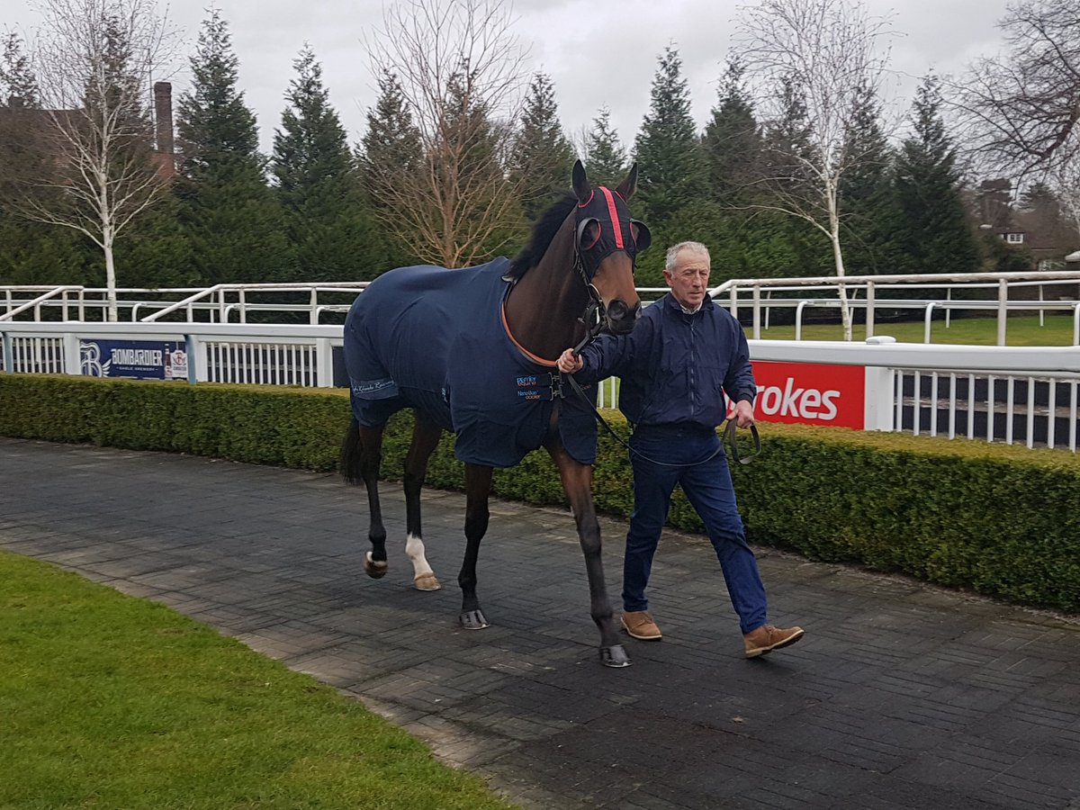 Lydia Richards Racing tweet media