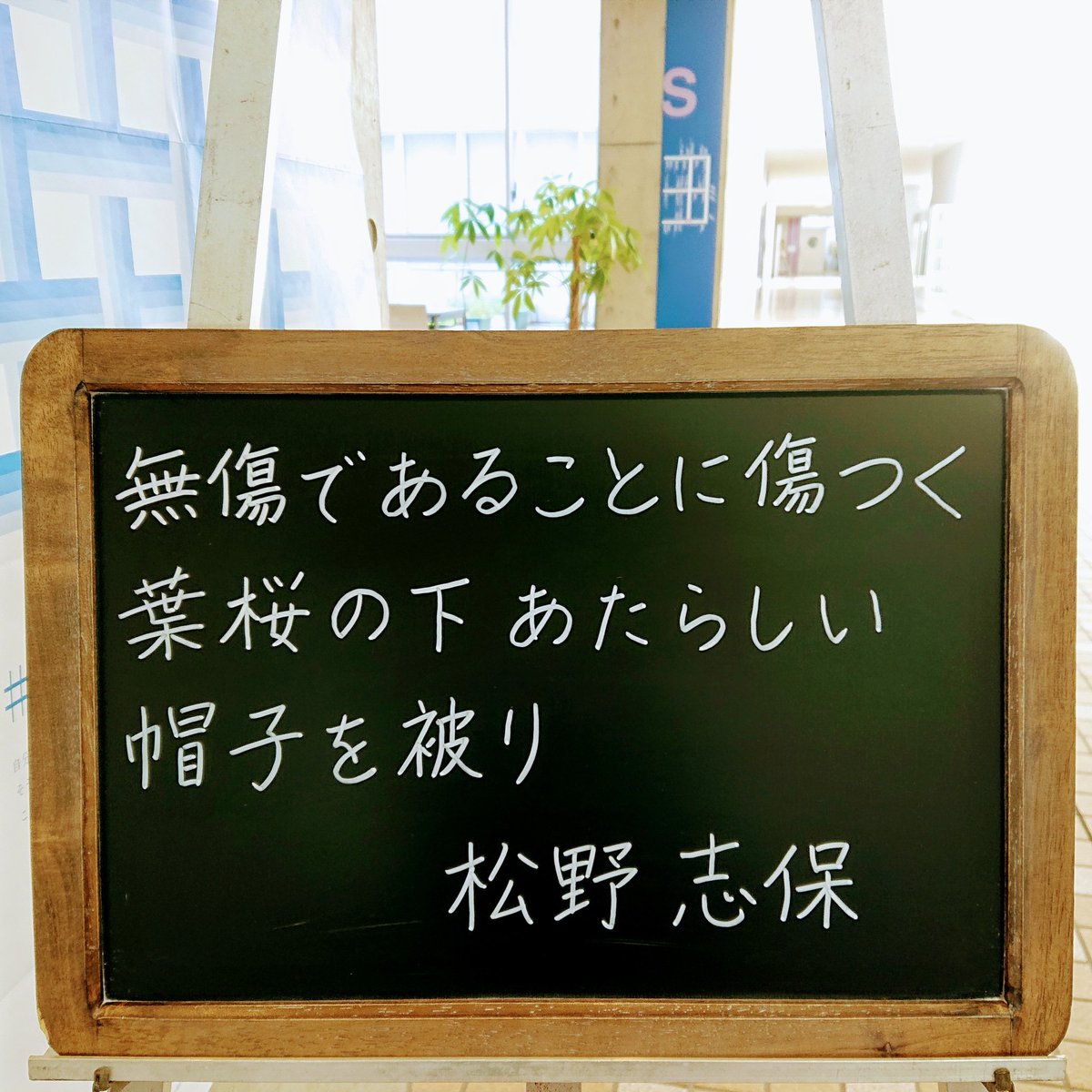 千葉聡 على تويتر 大人は そのうち分かるよ と言います でも 大人ってそんなに何でも分かっていますか 自分が大人になって みると 分からないことだらけ 若い人のほうが しなやかな感性で 真実を見ぬくことも 横浜サイエンスフロンティア高校の小さな黒板